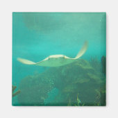 104_3660 - Sting Ray Magnet マグネット (正面)