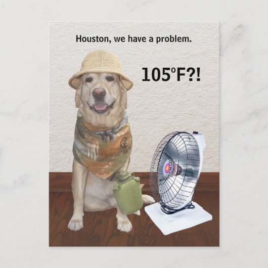 105 F?! ポストカード (正面)