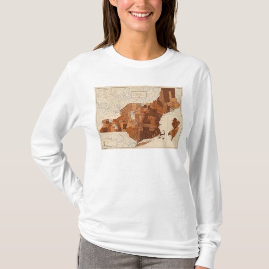 107インフルエンザNY、NJ、ニューイングランド Tシャツ (正面)