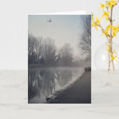 10923584_10152980290704872_2157613058937452917_n.j カード (黄色い花)