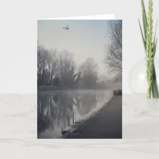 10923584_10152980290704872_2157613058937452917_n.j カード