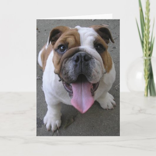 10-04-05 003 カード (正面)