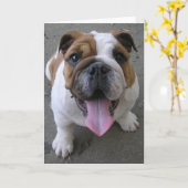 10-04-05 003 カード (黄色い花)