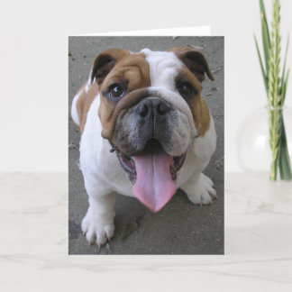 10-04-05 003 カード