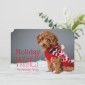 10 1週間目のトイプードル シーズンカード (スタンド正面)