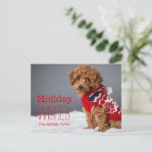 10 1週間目のトイプードル シーズンポストカード (スタンド正面)