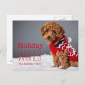 10 1週間目のトイプードル シーズンポストカード (正面/裏面)