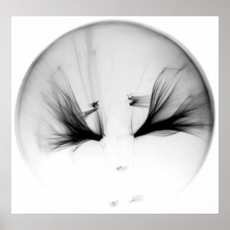 10^23 #1 ポスター