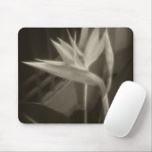 10 Antiqued極楽鳥 マウスパッド (マウス)