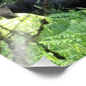 10"x8"フォトプリント ||ムースランチv5 フォトプリント            (角)