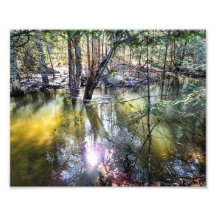 10"x8"フォトプリント || Sage Creekを歩く