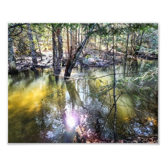 10"x8"フォトプリント || Sage Creekを歩く フォトプリント (正面)