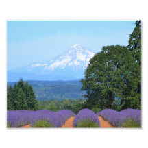 10" x 8"、Kodakプロフェッショナルフォト紙(Satin)