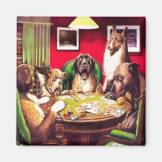 10bトランプのポーカー犬：ウォータールー（1903年頃） マグネット (正面)