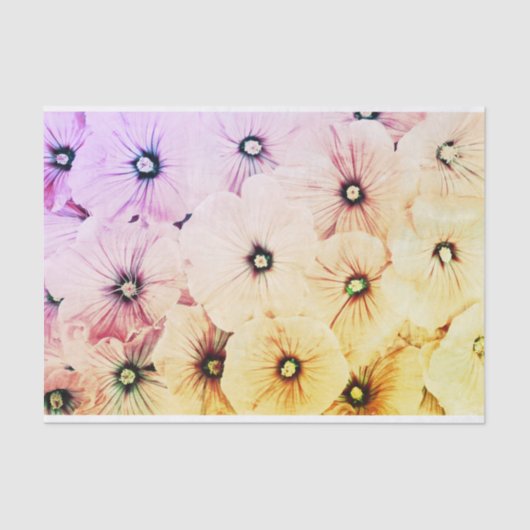 10lbティッシュペーパー、ハッピーシードティッシュペーパー黄 薄葉紙 (正面)