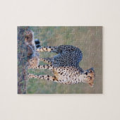 10x8を110部分-チータおよび幼いこども困惑させて下さい ジグソーパズル (横)