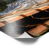 10x8アリゲーターアットホモササ春野生生物州 フォトプリント (角)