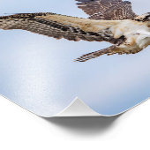 10x8オスプレイの巣への着陸 フォトプリント            (角)