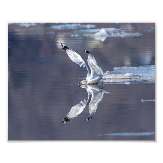 10x8ガルリフレクション フォトプリント            (正面)