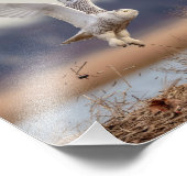 10x8スノーフクロウ離陸 フォトプリント            (角)