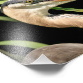 10x8ブルー素晴らしヘロン フォトプリント (角)