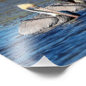 10x8ペリカン フォトプリント            (角)