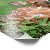 10x8愛らしい子鹿が木の下に横たわる フォトプリント            (角)