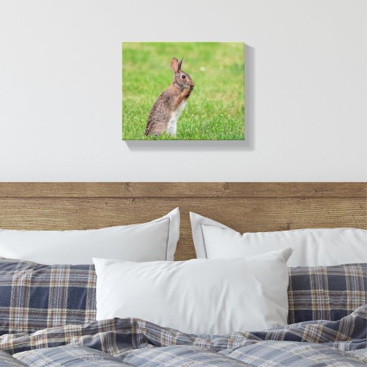 10x8草の中に立ち、恥ずかしそうに見えるウサギ キャンバスプリント (インサイチュ (寝室))