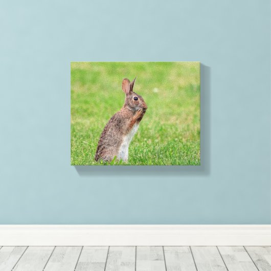 10x8草の中に立ち、恥ずかしそうに見えるウサギ キャンバスプリント (インサイチュ (ウッドフロア))