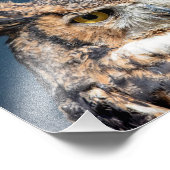 10x8角素晴らしフクロウポートレート フォトプリント            (角)