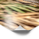 10x8赤い担ぎタカ(木) フォトプリント (角)