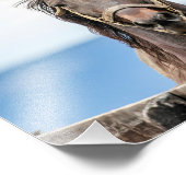 10x8馬のポートレート フォトプリント (角)