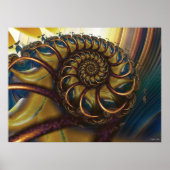 11の日 ポスター (正面)