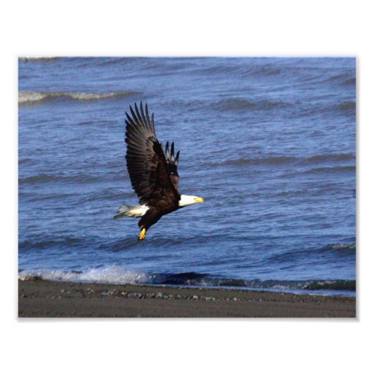 11インチx 8.5インチ、Kodakプロフェッショナルフォト紙(Satin) フォトプリント (正面)