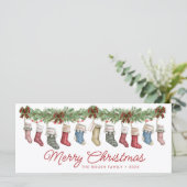 11ファミリー |孫 |大規模なファミリストッキング (スタンド正面)