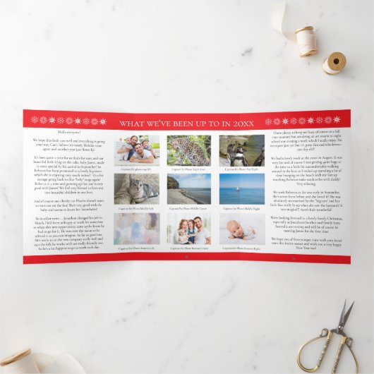 11フォトファミリークリスマスニュースレター 三つ折りクリスマスカード (内部)