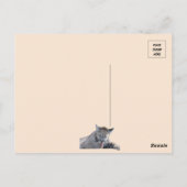 11ヶ月の古いクーガーのキューバピックの写真 ポストカード (裏面)