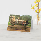 11匹の子犬は続けて"チーズ" -挨拶状を言います カード (黄色い花)