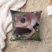 #11女性のアマガエル クッション (ブランケット)