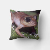 #11女性のアマガエル クッション (裏面)