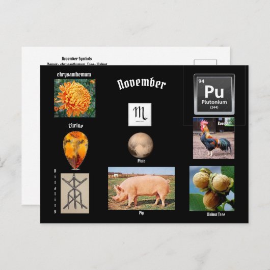 11月のスコーピオの誕生月ポストカード ポストカード (正面/裏面)