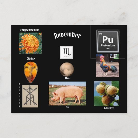 11月のスコーピオ生まれの月 ポストカード (正面)