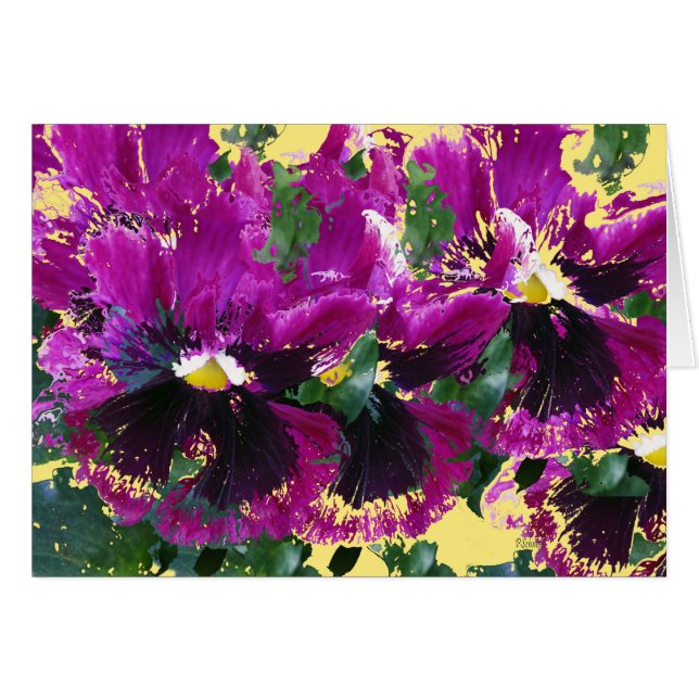 11月のパンジー (正面横)