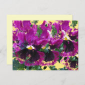 11月のパンジー ポストカード (正面/裏面)