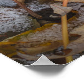 11月の森:雪離れの下に黄色い ポスター (角)