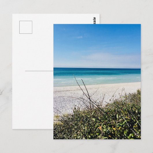 11月の海辺 ポストカード (正面/裏面)