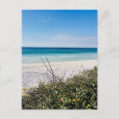 11月の海辺 ポストカード (正面)