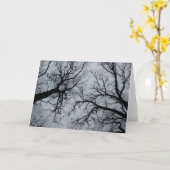 11月の空（木々の間） カード (黄色い花)
