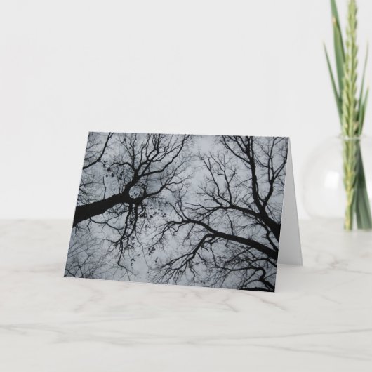 11月の空（木々の間） カード (正面)