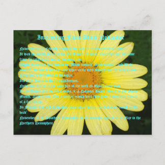 11月の興味深い事実 ポストカード